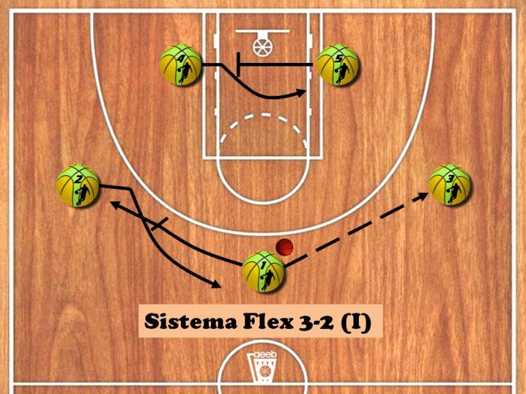 Flex 3-2
