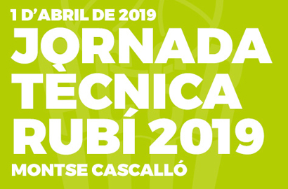 jornadatecnicarubi2019
