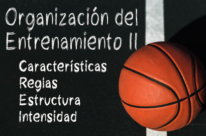 Ejercicios de Entrenamiento 1